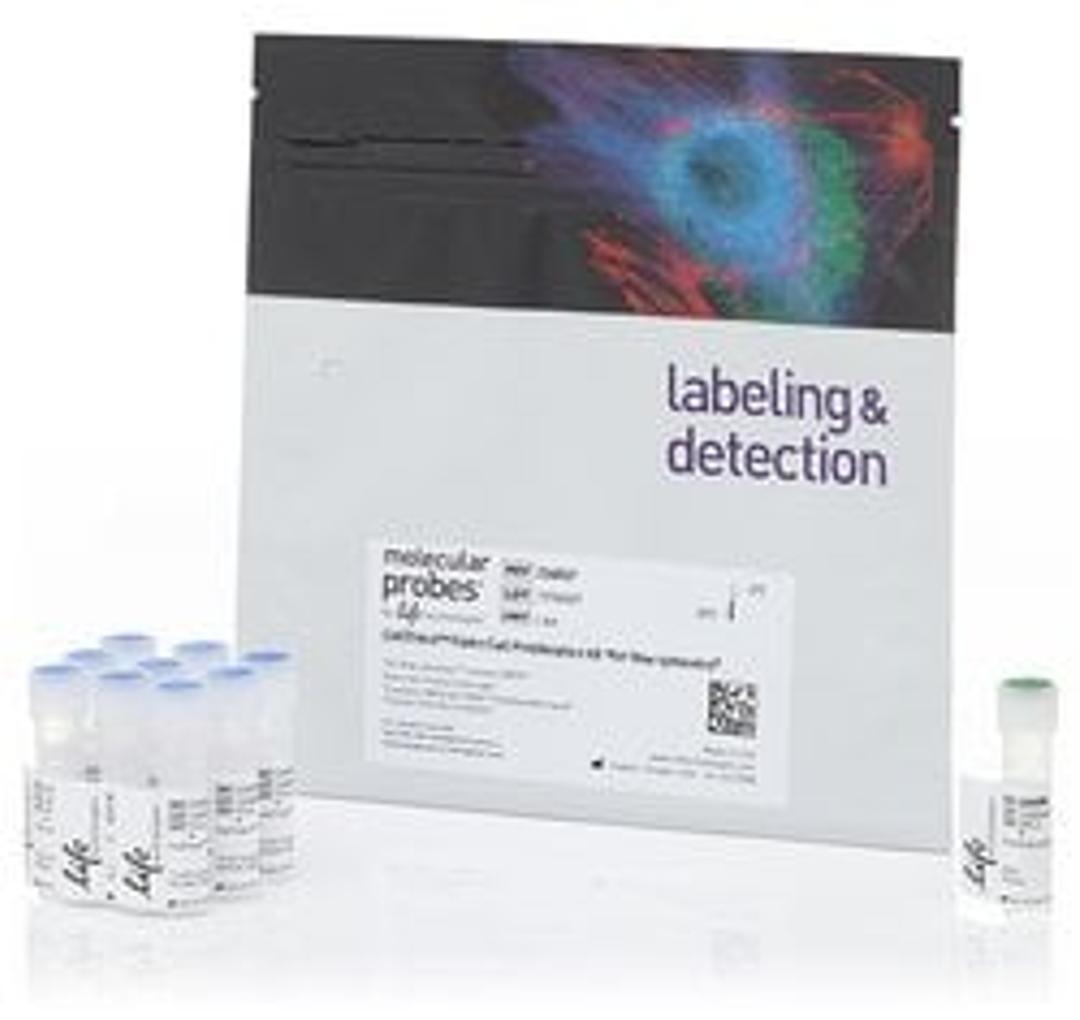 Invitrogen™ CellTrace™ Violet Cell Proliferation Kit - Thermo Fisher Scientific - Life Sciences
