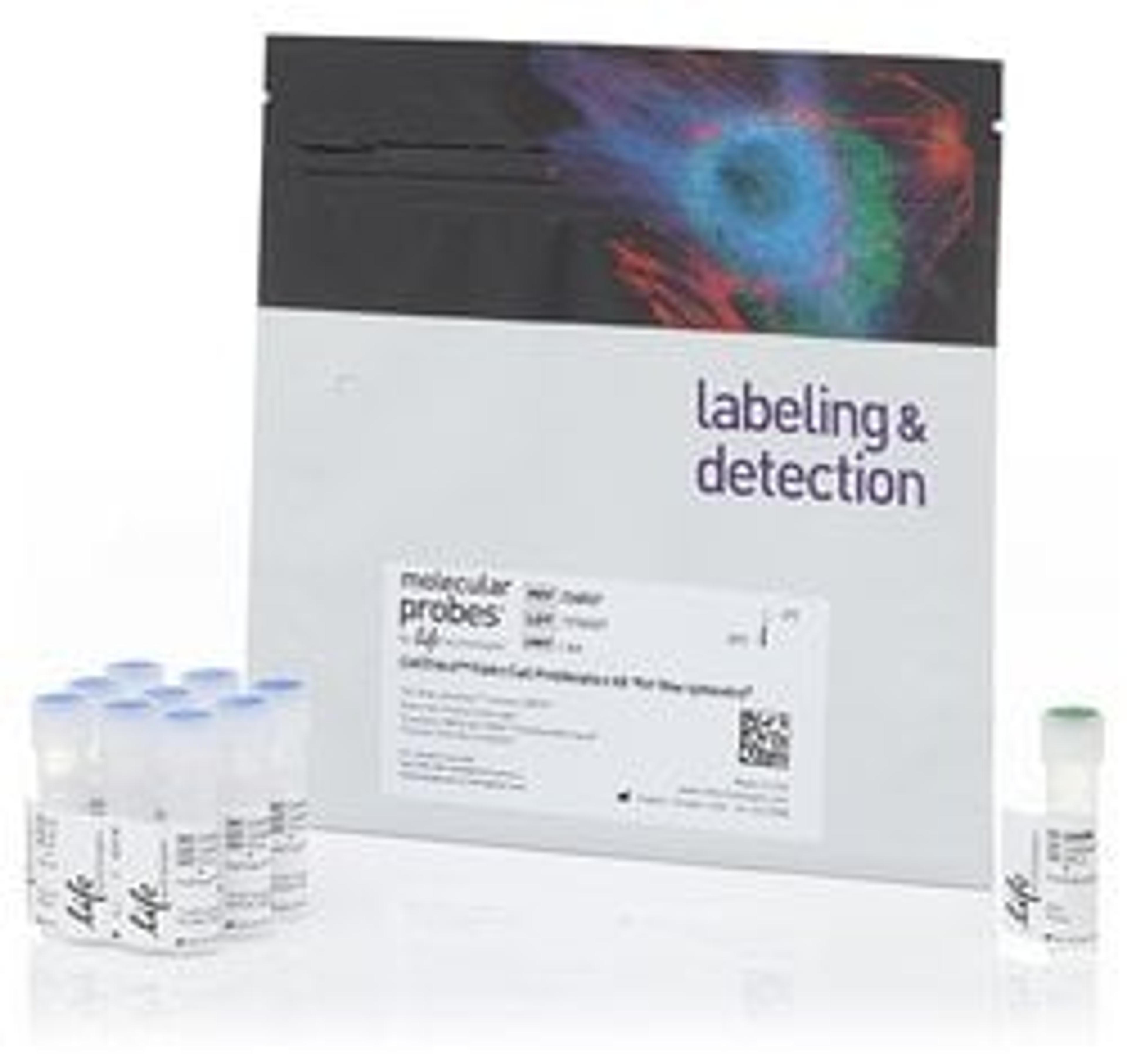 Invitrogen™ CellTrace™ Violet Cell Proliferation Kit - Thermo Fisher Scientific - Life Sciences
