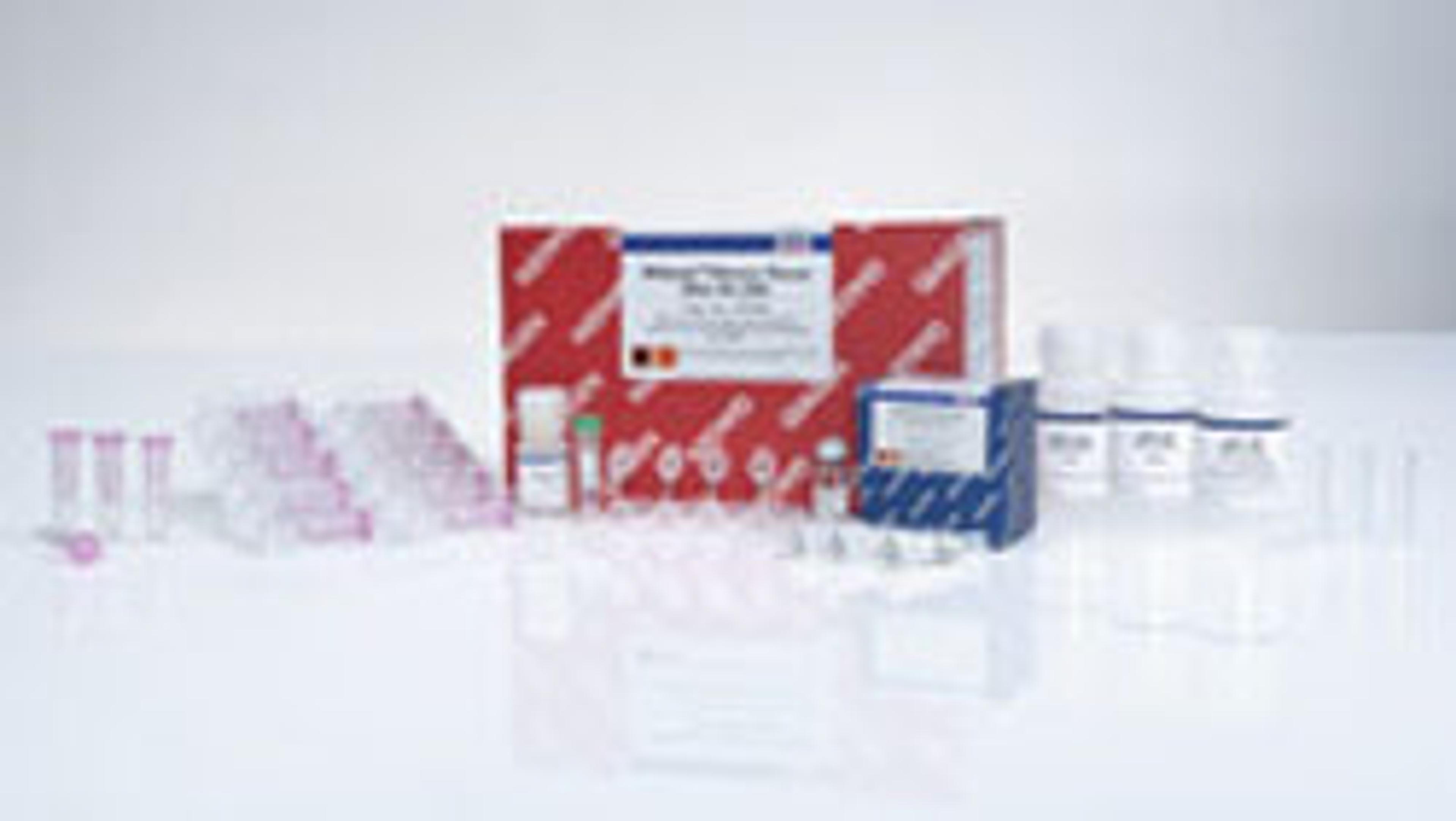 RNeasy Fibrous Tissue Mini Kit (50) - QIAGEN