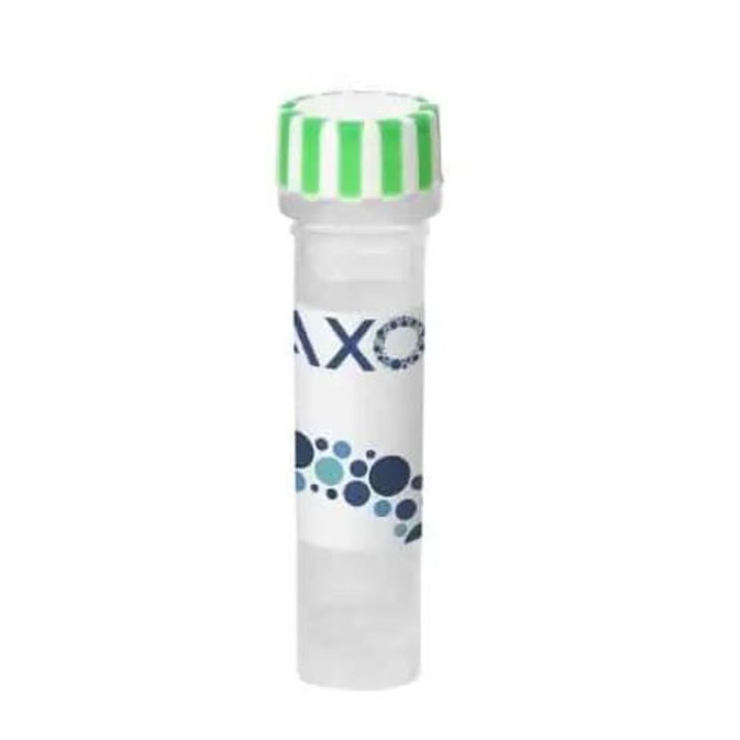 axoCells™ Human FGF2, 100 µg - Axol Bioscience - Life Sciences