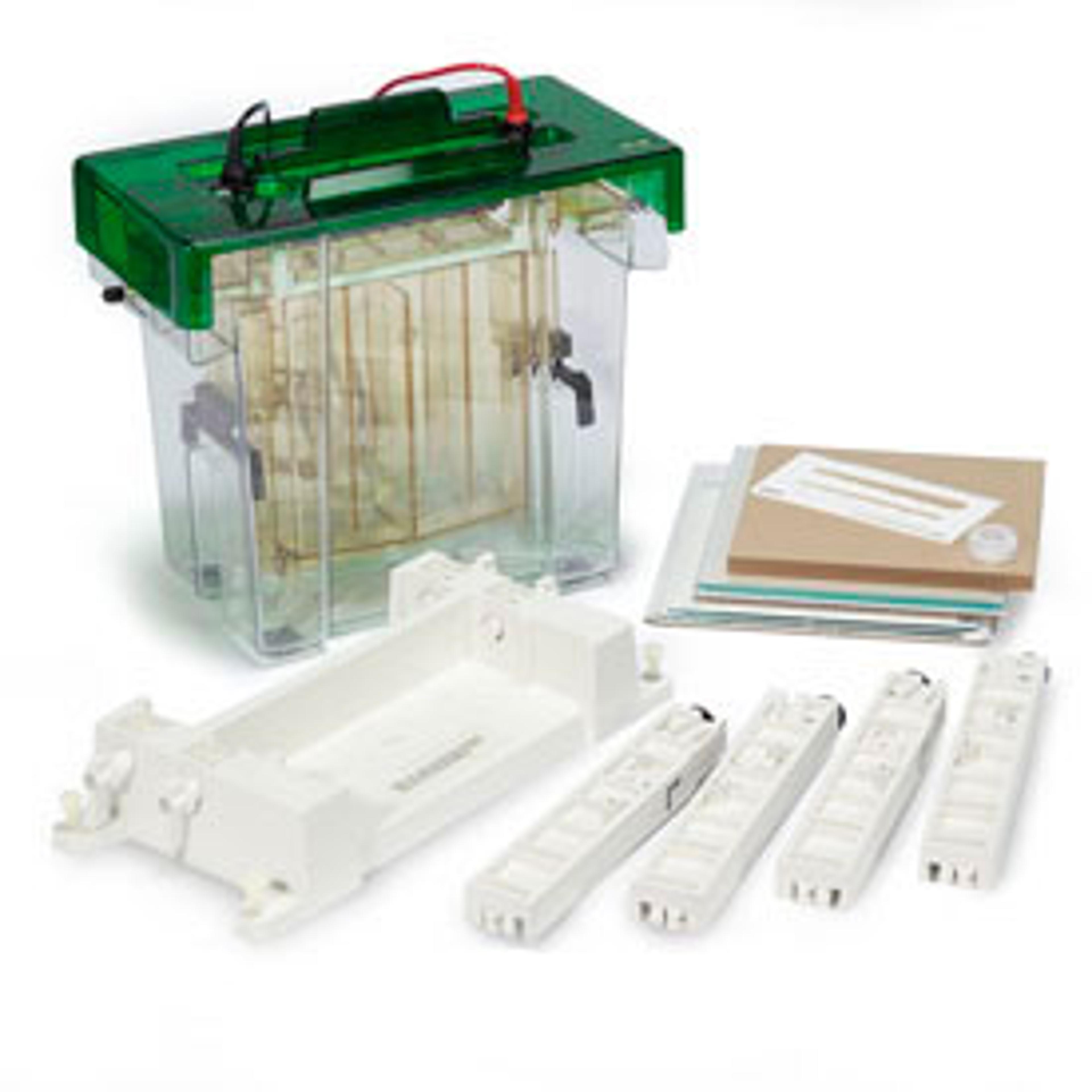 PROTEAN II xi Cell #1651801 - Bio-Rad - Life Sciences