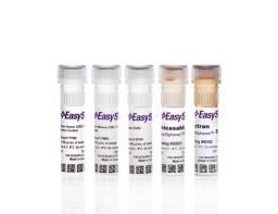 EasySep™ Human Central and Effector Memory CD8+ T Cell Isolation Kit - STEMCELL Technologies Inc. - Life Sciences