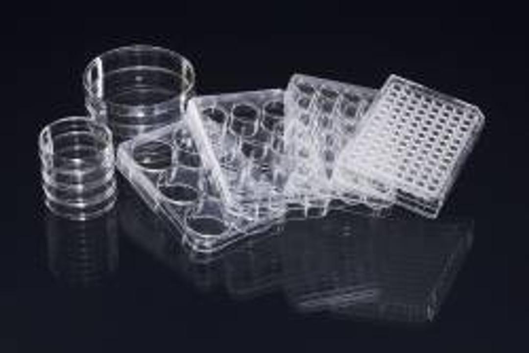 NUNC™ Low Cell Binding Dishes and Plates - Nalge Nunc International - General Lab