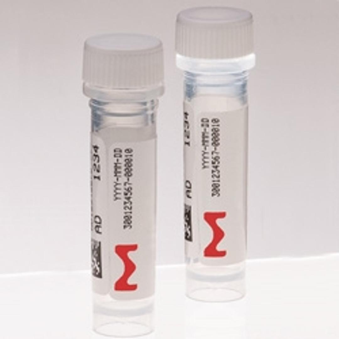 KiCqStart Primers - Merck - Life Sciences