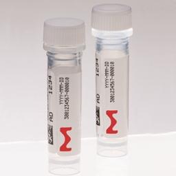 KiCqStart Primers - Merck - Life Sciences
