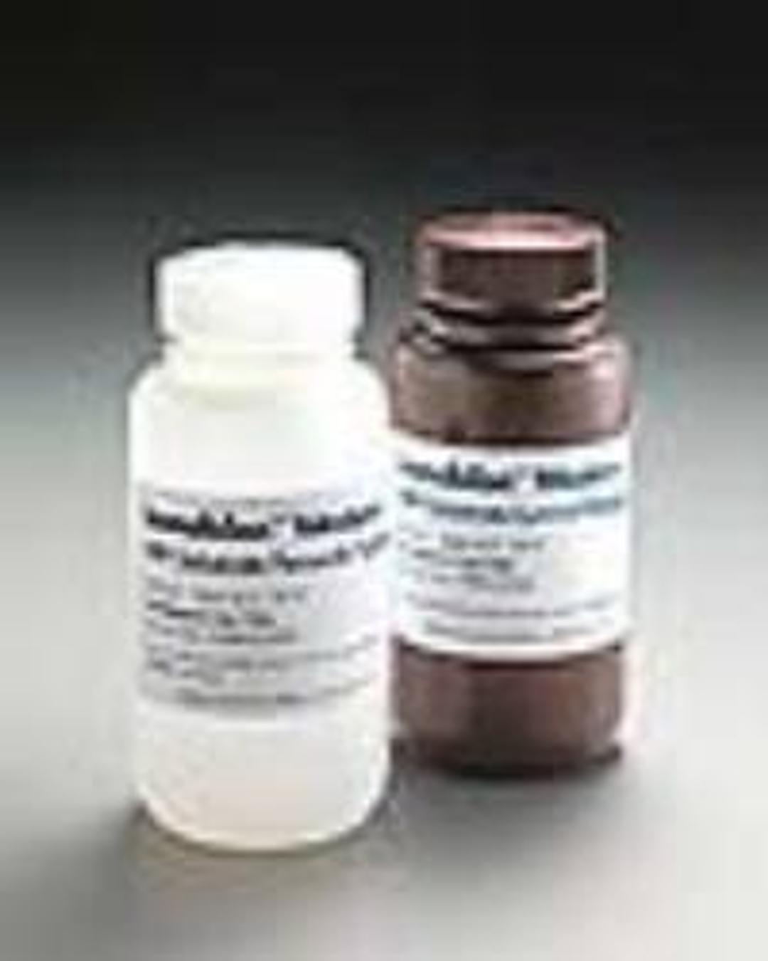 Millipore* Immobilon* Western Chemiluminescent HRP Substrate (ECL) - Fisher Scientific - Life Sciences