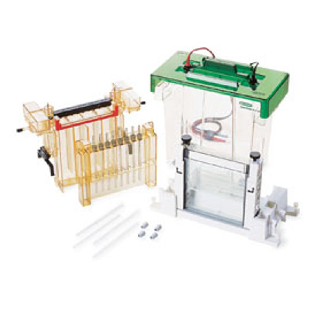 PROTEAN II xi 2-D Cell #1651934 - Bio-Rad - Life Sciences