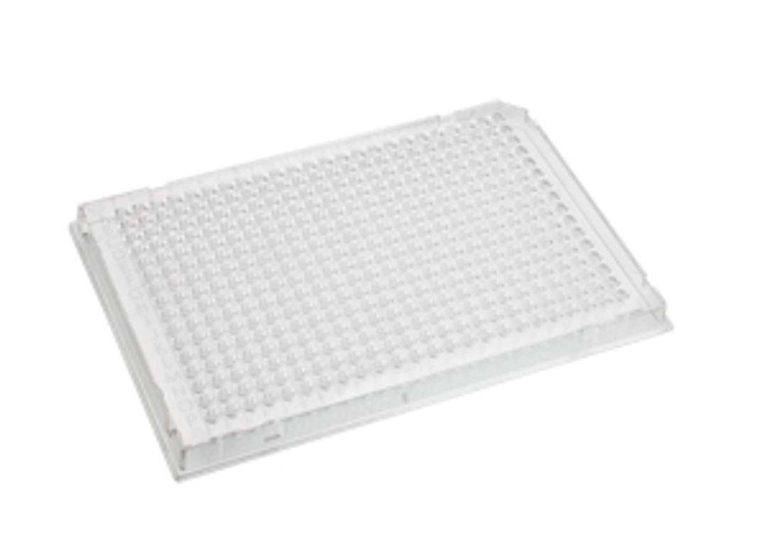 Axygen® 384-well RigiPlate™ PCR Microplate, Full Skirt, Clear, Nonsterile - Corning Life Sciences - Life Sciences