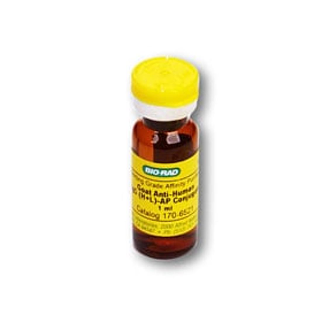 Goat Anti-Human IgG-AP Conjugate - Bio-Rad - Life Sciences