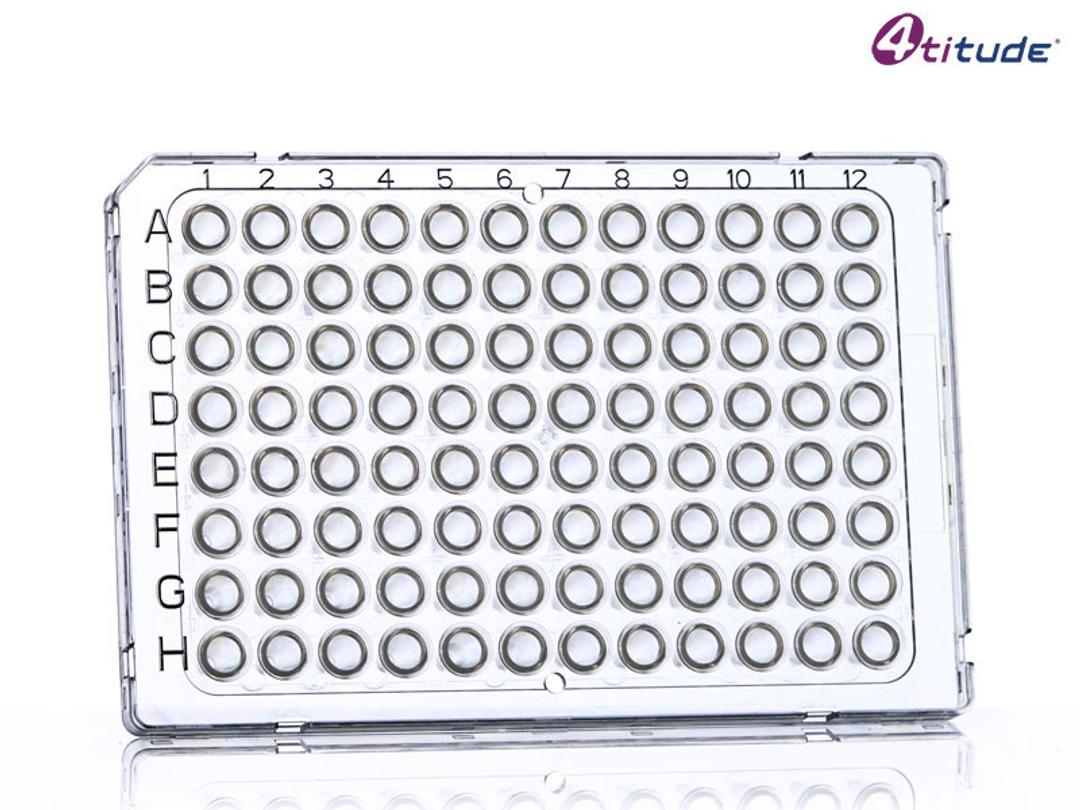 4titude® FrameStar® FastPlate 96 Well PCR Plate (Clear, Clear Wells) - Brooks Life Sciences - Life Sciences