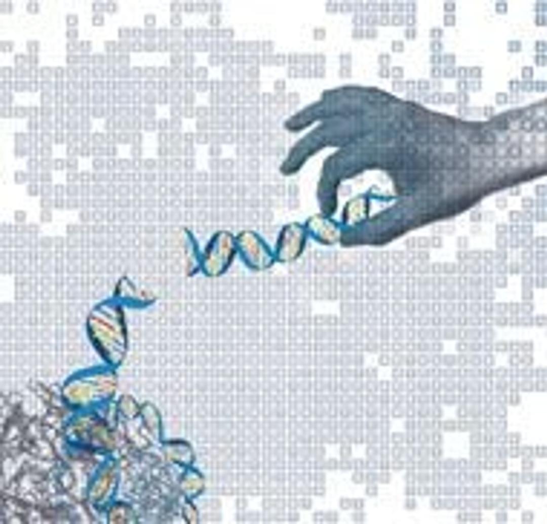 NimbleGen SeqCap EZ Library Kits - Roche - Life Sciences