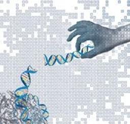 NimbleGen SeqCap EZ Library Kits - Roche - Life Sciences