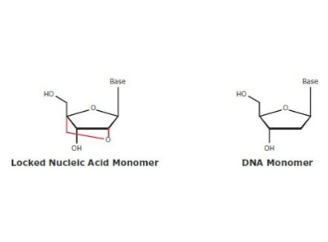 Locked Nucleic Acid & Minor Groove Binder / Eclipse Dark Quencher - Merck - Life Sciences
