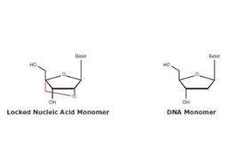 Locked Nucleic Acid & Minor Groove Binder / Eclipse Dark Quencher - Merck - Life Sciences