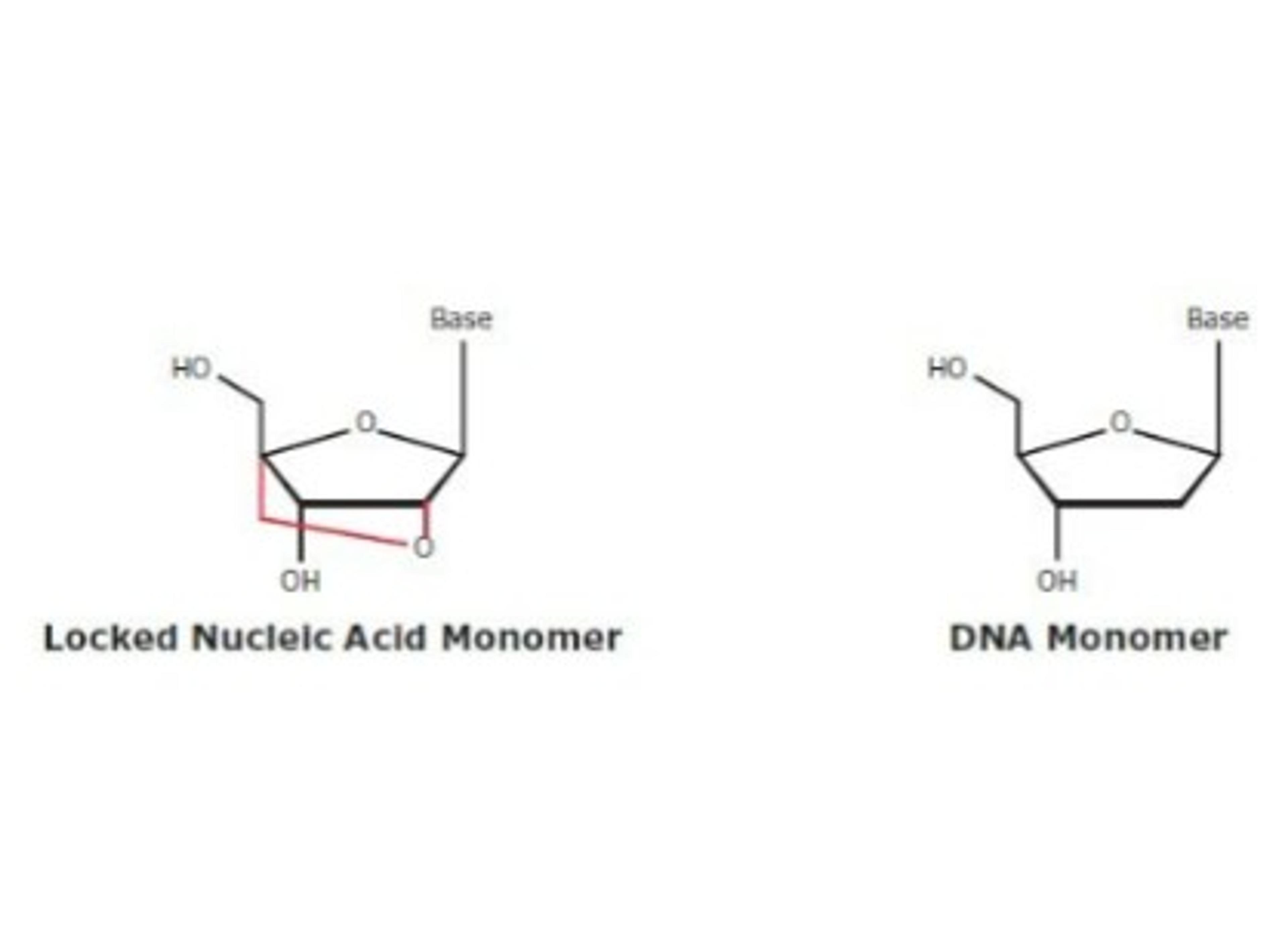 Locked Nucleic Acid & Minor Groove Binder / Eclipse Dark Quencher - Merck - Life Sciences