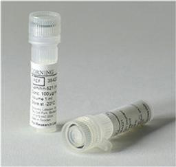 Corning® rLaminin-521, Human, 100μg Vial - Corning Life Sciences - Life Sciences