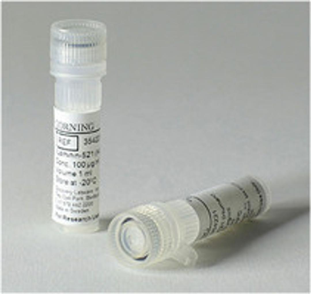 Corning® rLaminin-521, Human, 100μg Vial - Corning Life Sciences - Life Sciences