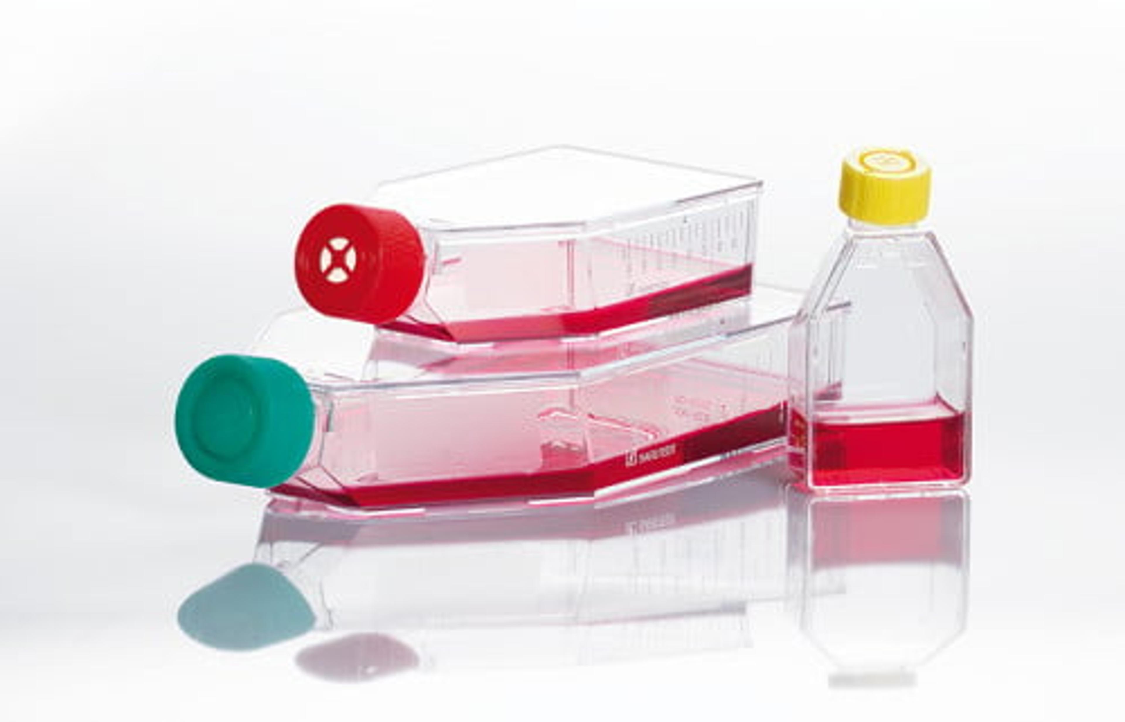 Tissue culture flasks - SARSTEDT AG - Life Sciences