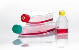Tissue culture flasks - SARSTEDT AG - Life Sciences