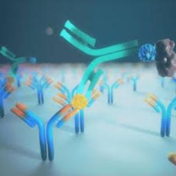 Simoa Homebrew Kit - Quanterix - Life Sciences