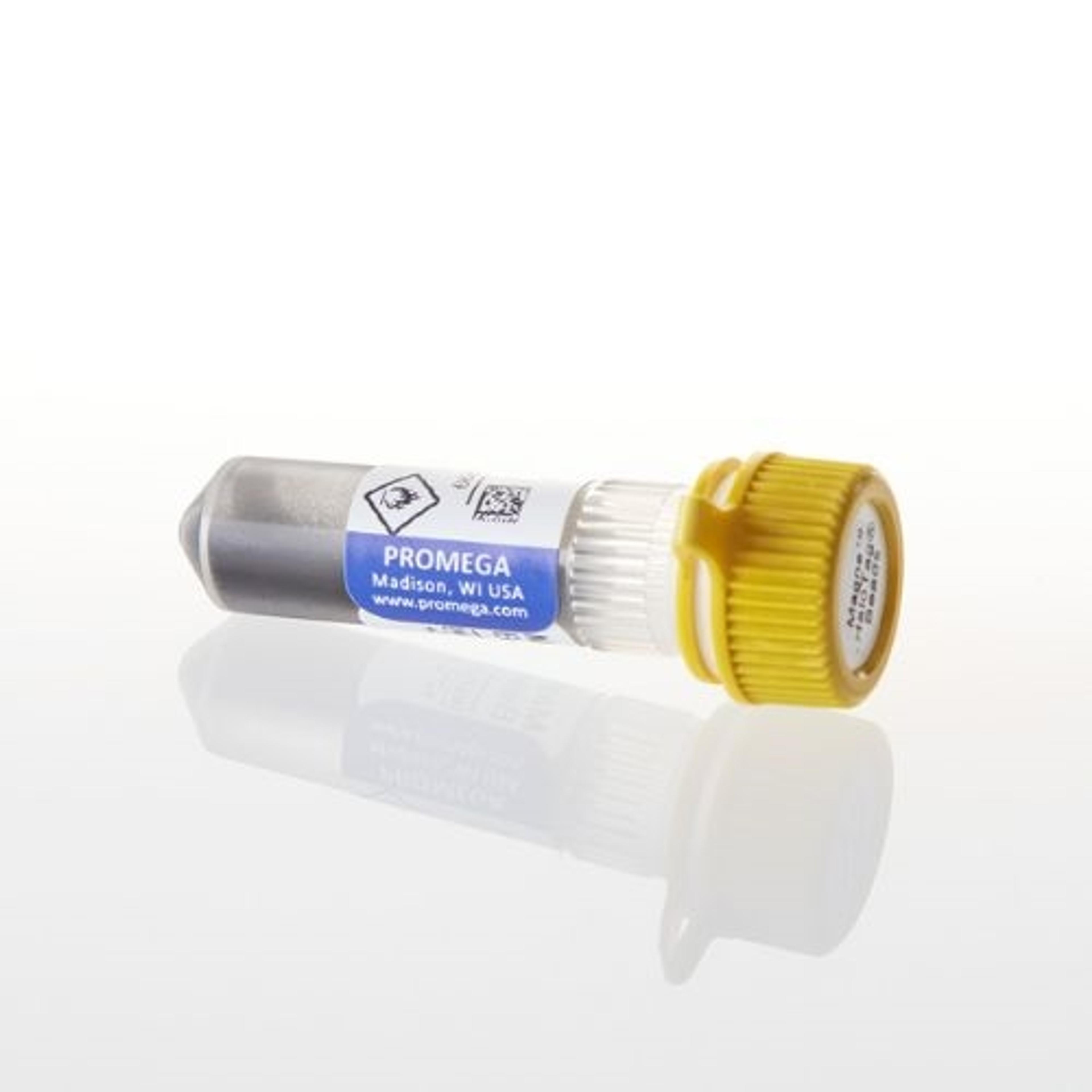 Magne® HaloTag® Beads - Promega Corp. - Life Sciences