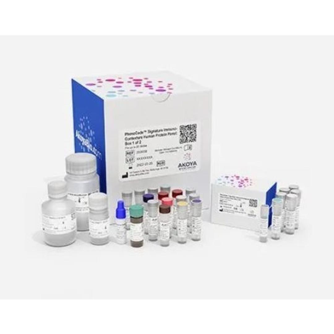 PhenoCode Signature Immuno-Contexture Human Protein Panel - Akoya Biosciences - Clinical Diagnostics