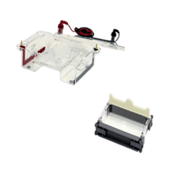 GES Horizontal Electrophoresis Package (10 x 15 cm tray) - Wealtec - Life Sciences