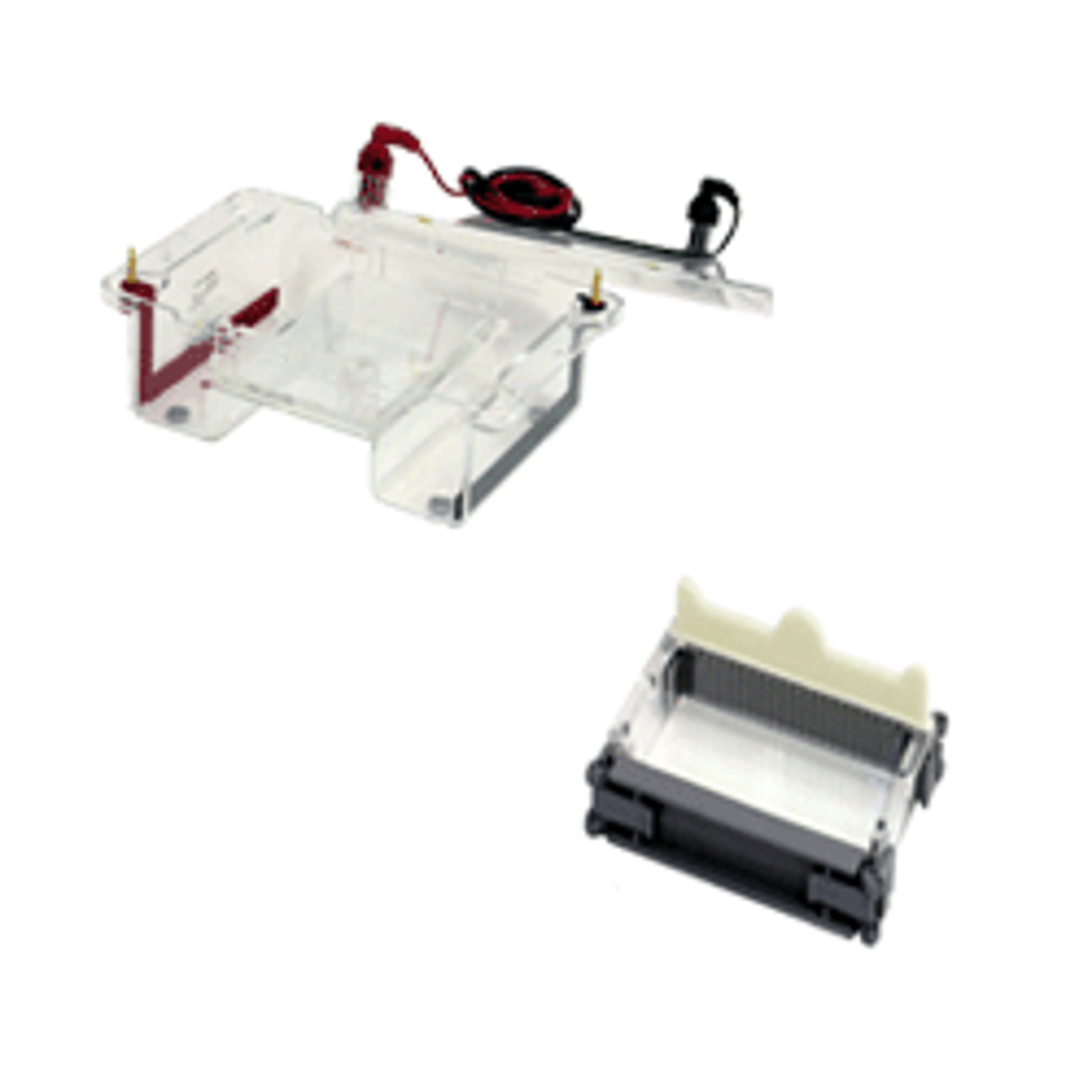 GES Horizontal Electrophoresis Package (10 x 15 cm tray) - Wealtec - Life Sciences