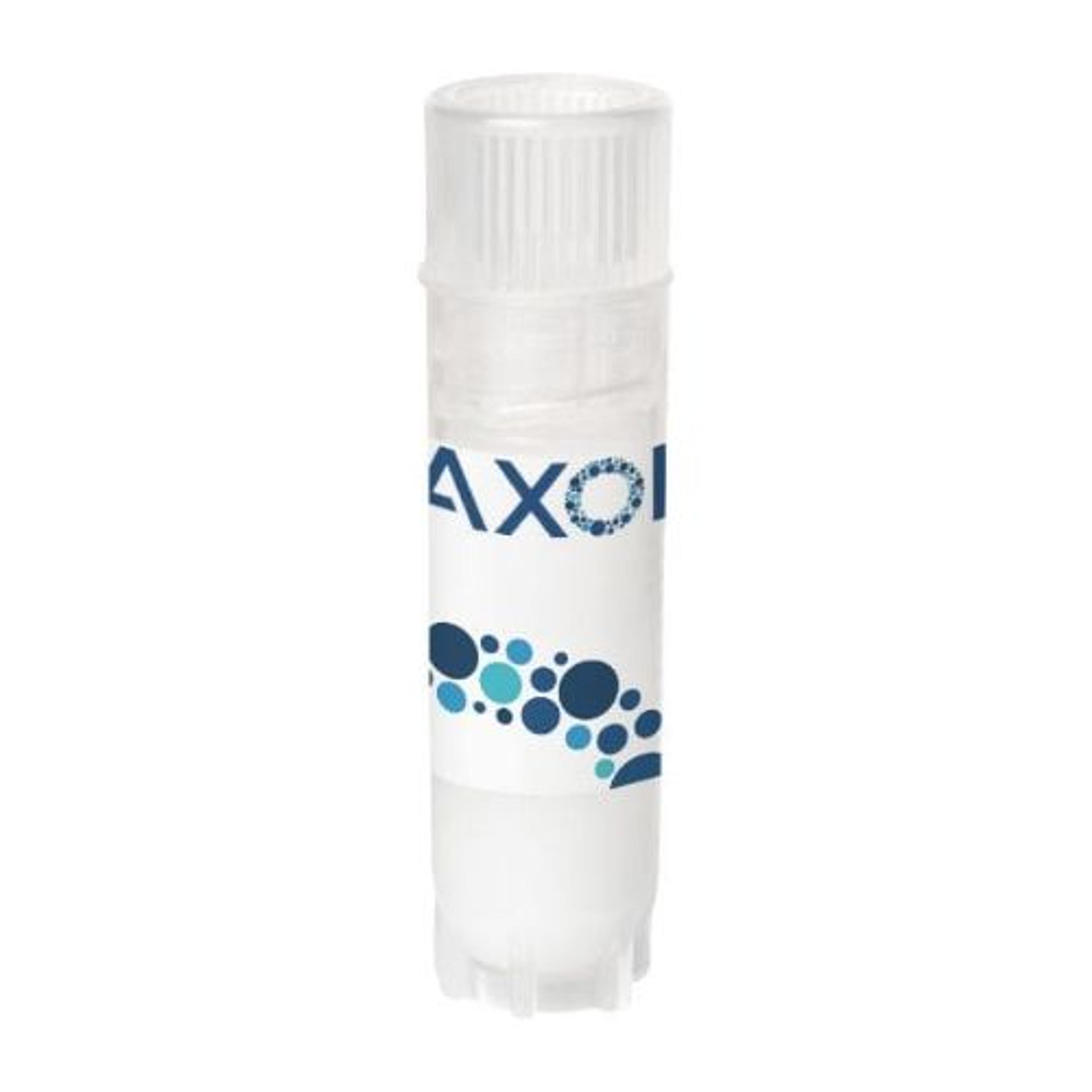 axoCells™ Human iPSC-Derived Neural Stem Cells, female donor, ≥1.5 million cells - Axol Bioscience - Life Sciences
