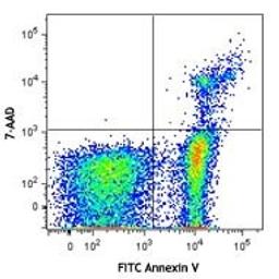FITC Annexin V Apoptosis Detection Kit with 7-AAD - BioLegend - Life Sciences