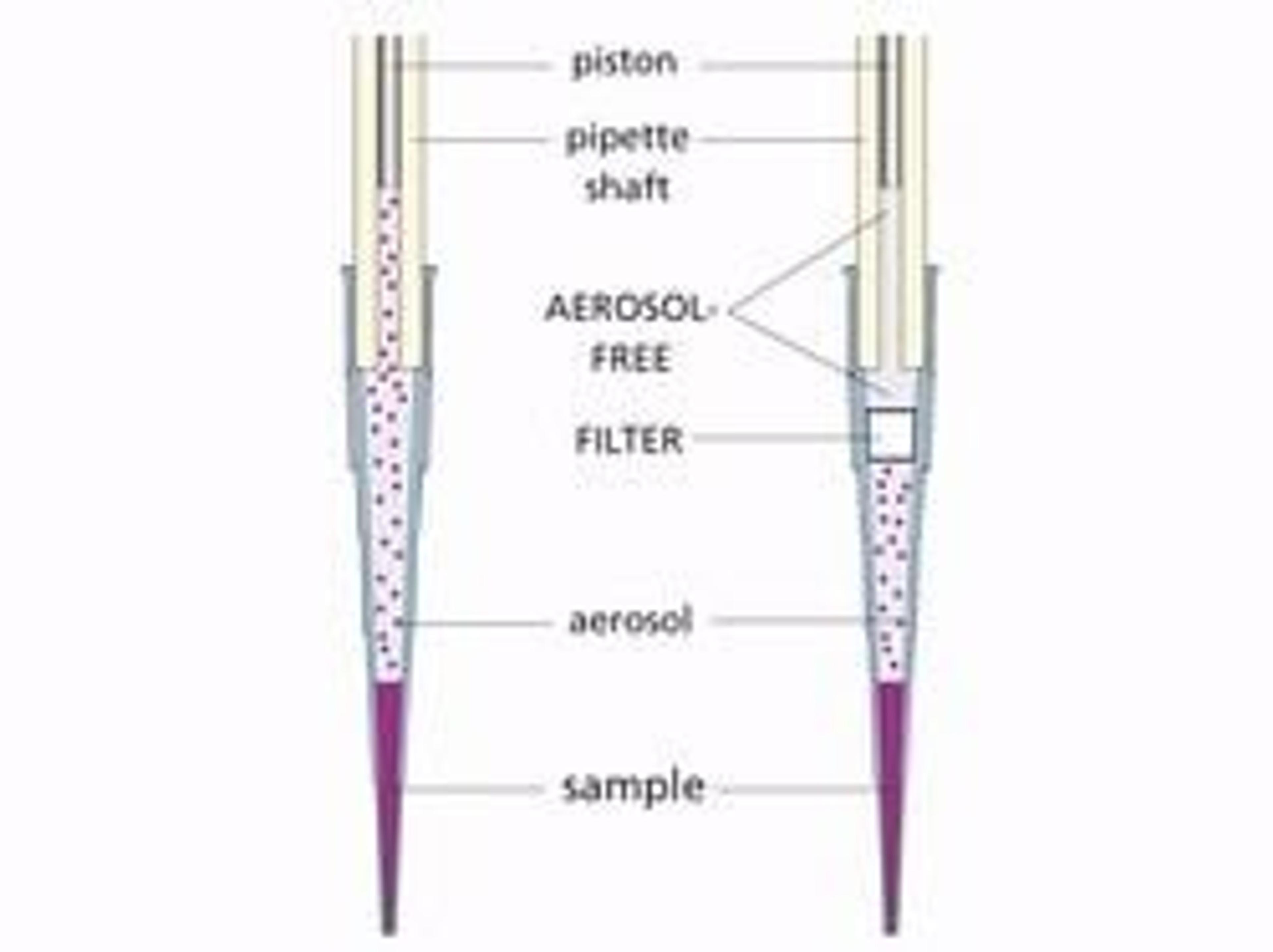 Rainin Pipette Tips 100-1000uL Filter Racked pk768 LTS RT-L1000F - Rainin - General Lab