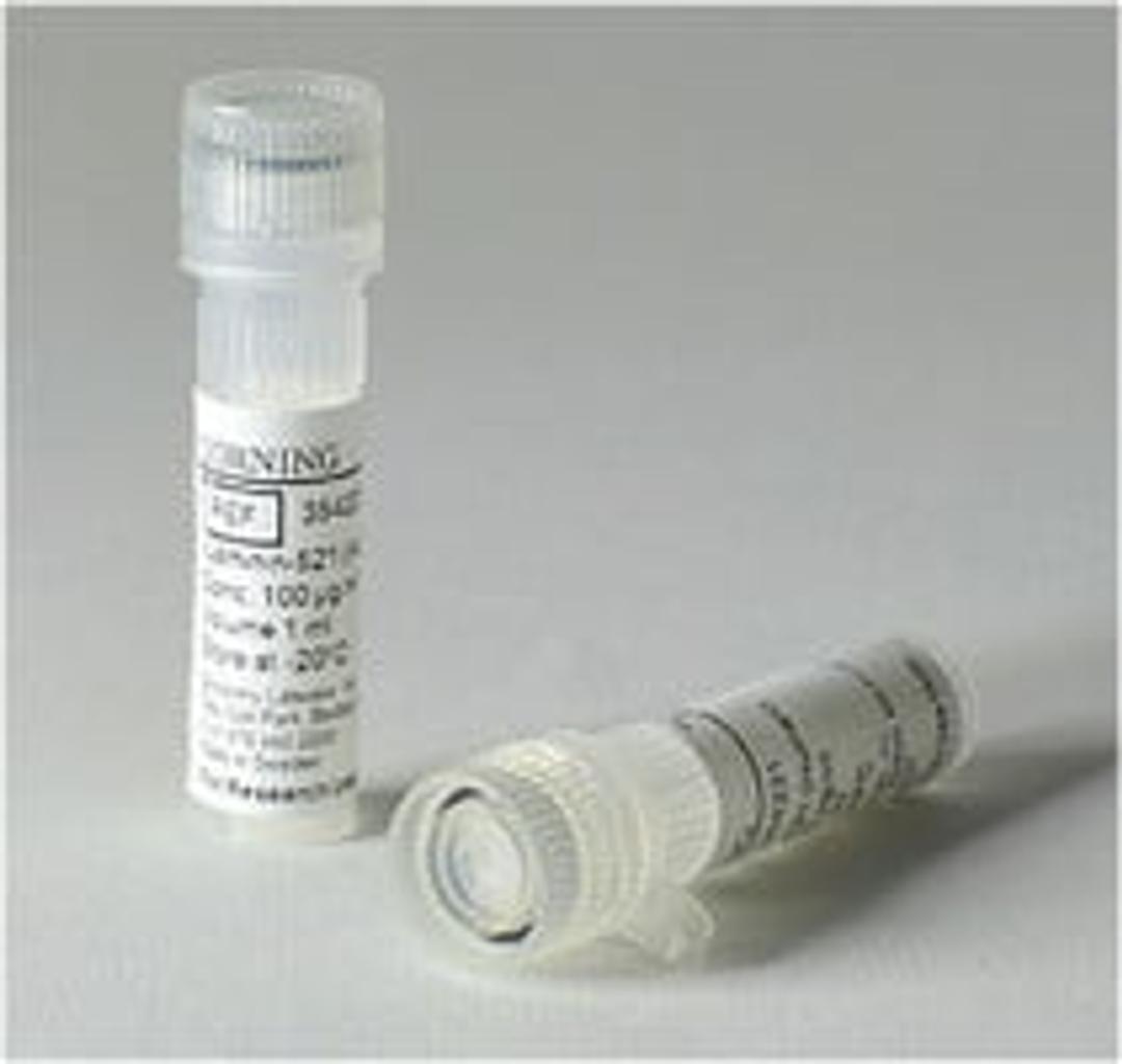 Corning® rLaminin-521, Human, 20μg Vial - Corning Life Sciences - Life Sciences