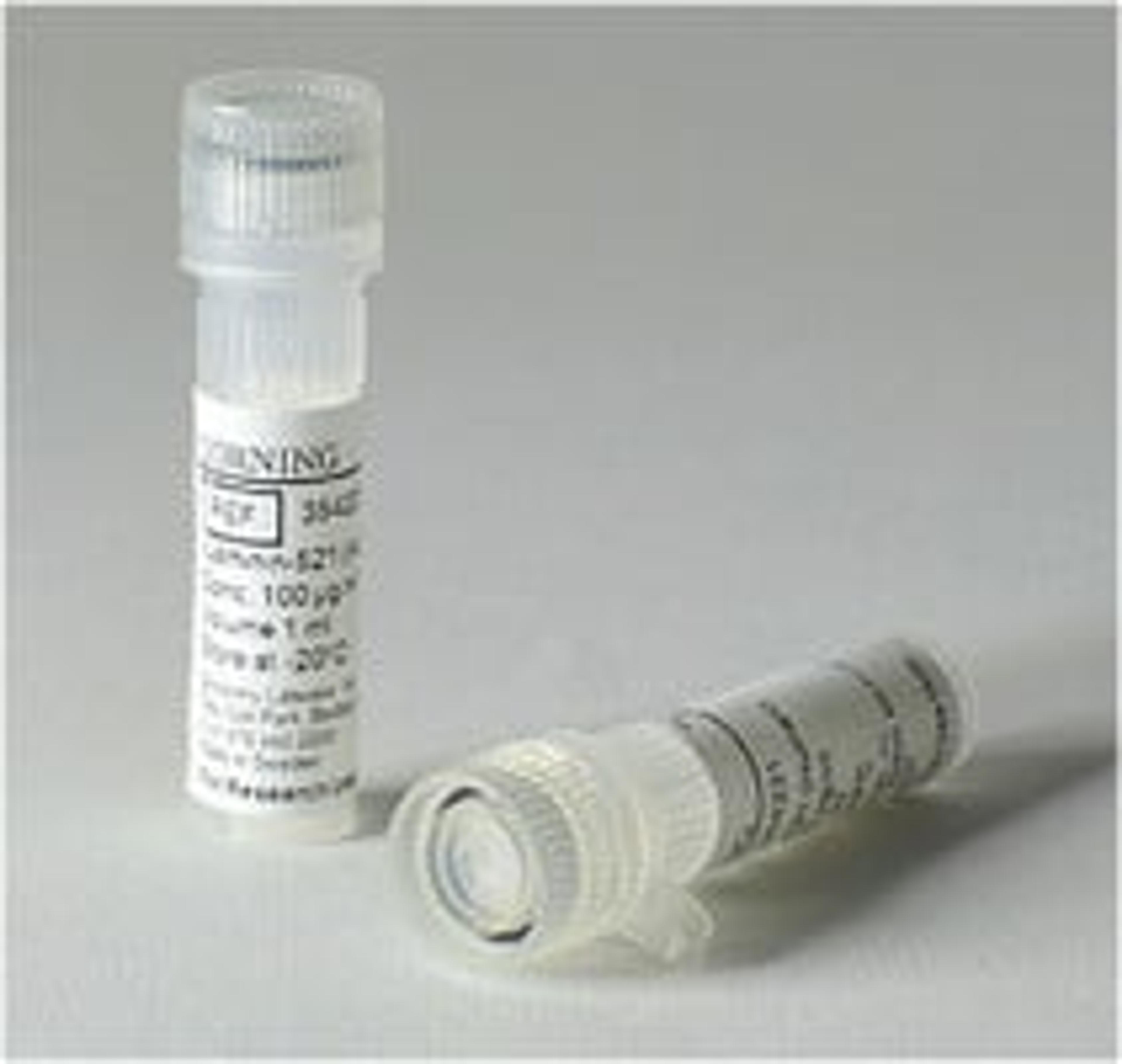 Corning® rLaminin-521, Human, 20μg Vial - Corning Life Sciences - Life Sciences
