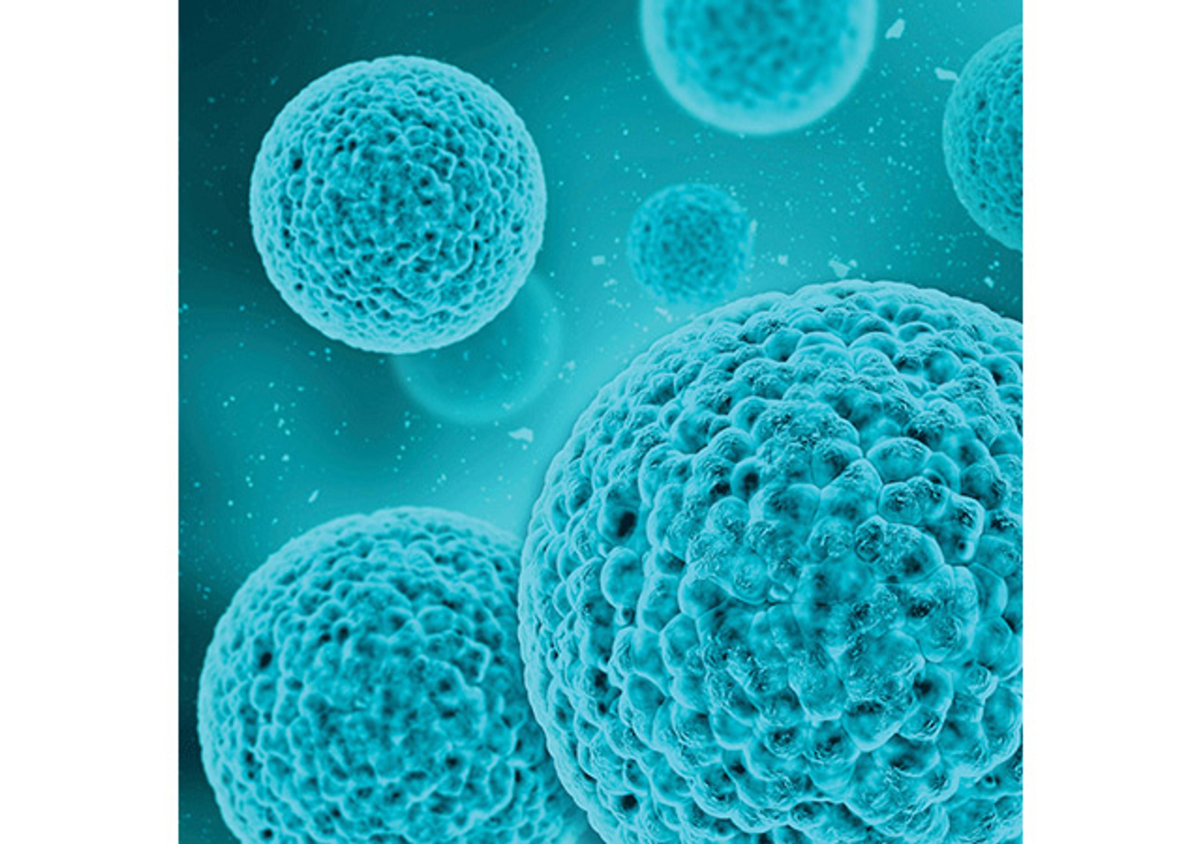Glycan Standards - Cambridge Isotope Laboratories - Life Sciences