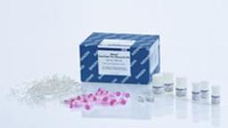 RNeasy PowerClean Pro Cleanup Kit (50) - QIAGEN