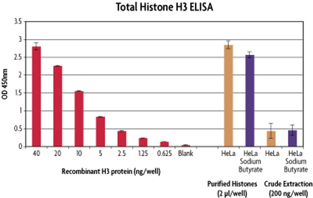 Histone Purification Microplate Kit - Active Motif - Life Sciences
