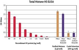 Histone Purification Microplate Kit - Active Motif - Life Sciences