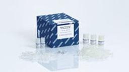 DNeasy PowerClean Pro Cleanup Kit (50) - QIAGEN