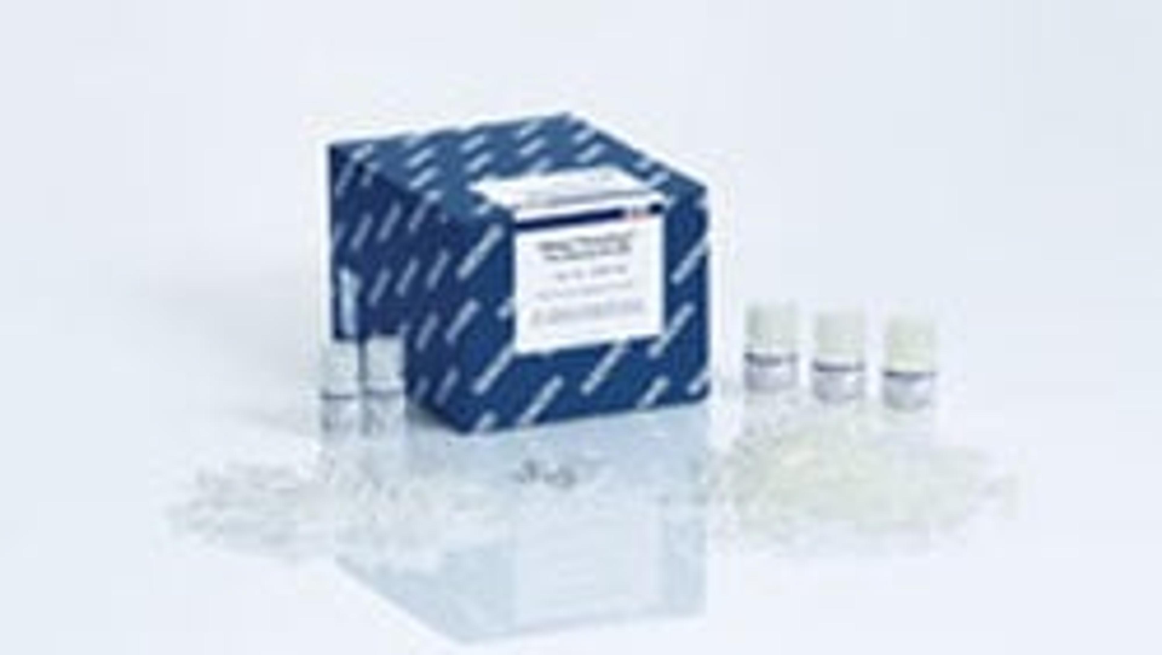 DNeasy PowerClean Pro Cleanup Kit (50) - QIAGEN