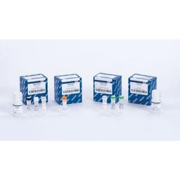 QIAseq Normalizer Kits - QIAGEN - Life Sciences