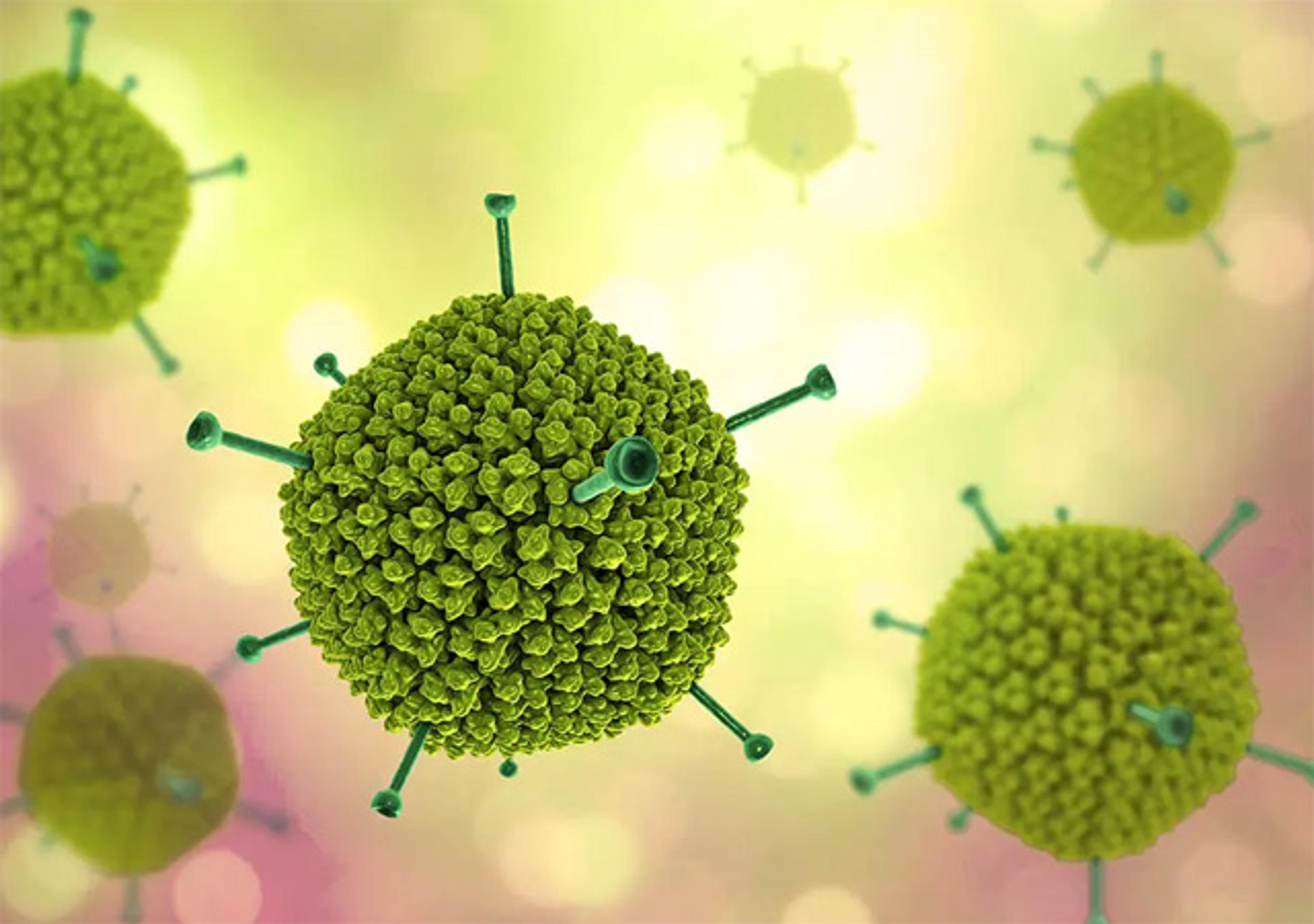 Custom Viral Vector Development Services