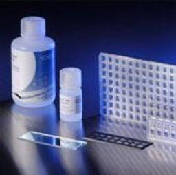 Nexterion® multi-well incubation chambers - SCHOTT Technical Glass Solutions GmbH - Drug discovery > Target Discovery