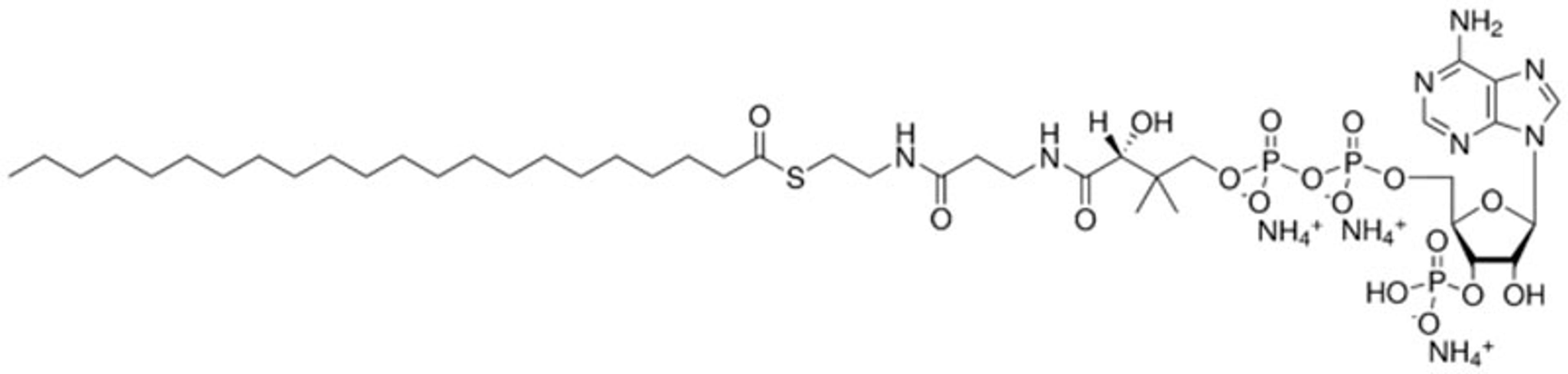 AvantiĀ® Polar Lipids 22:0 Coenzyme A - Merck KGaA, Darmstadt, Germany - Drug discovery > Drug Manufacturing