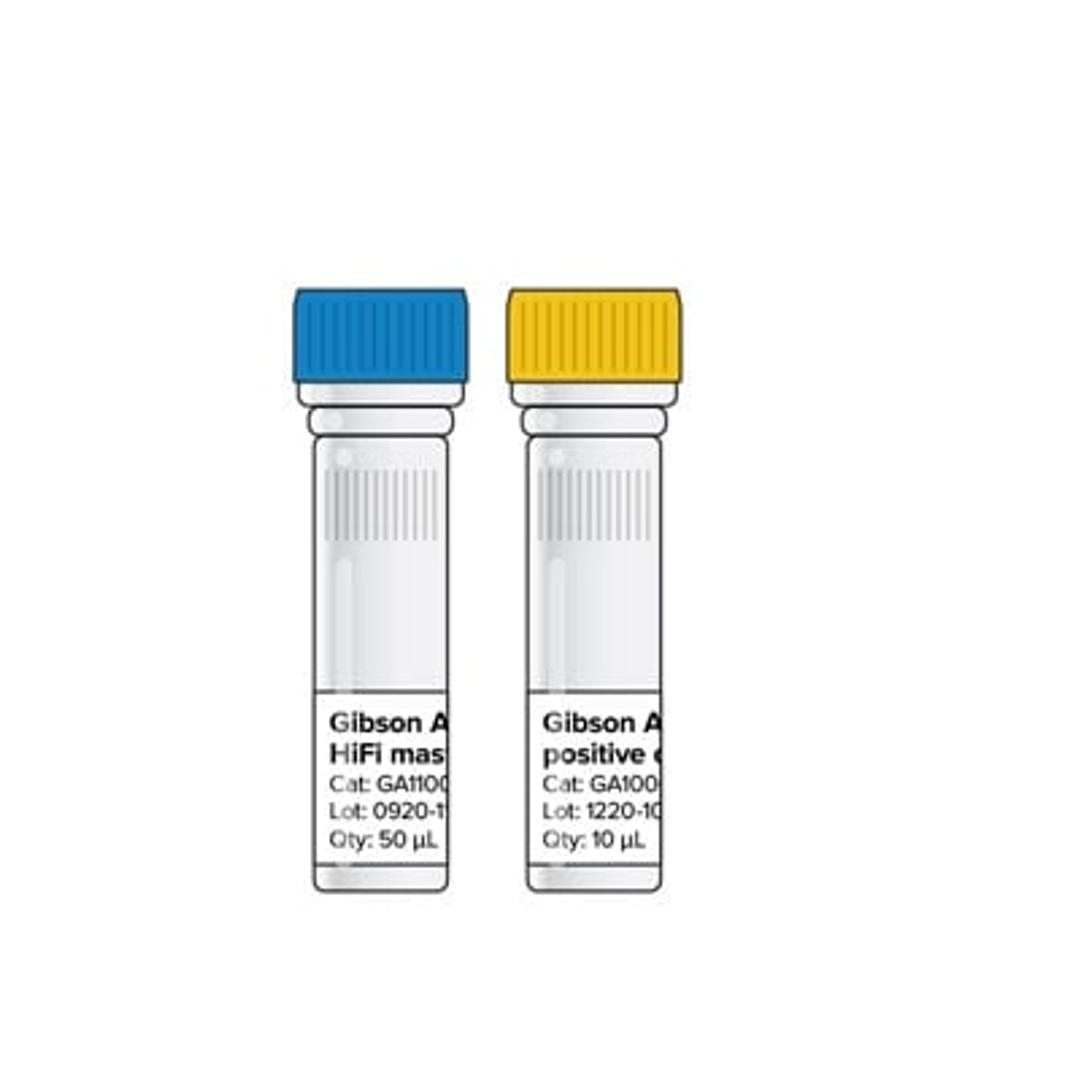 Gibson Assembly HiFi kit - Codex DNA - Life Sciences