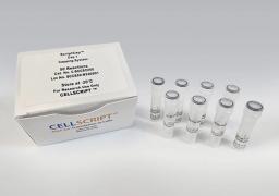 ScriptCap™ Cap 1 Capping System - CELLSCRIPT™ - Life Sciences