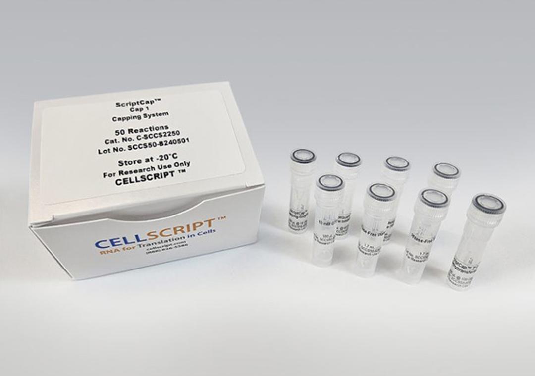 ScriptCap™ Cap 1 Capping System - CELLSCRIPT™ - Life Sciences
