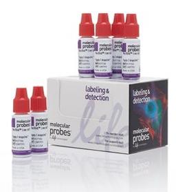 Invitrogen™ NucRed™ Live 647 ReadyProbes™ Reagent - Thermo Fisher Scientific - Life Sciences