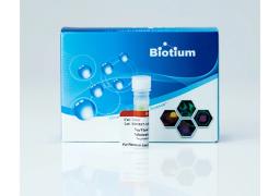 NucView® Caspase-3 Enzyme Substrates - Biotium - Life Sciences