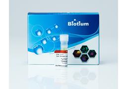 NucView® Caspase-3 Enzyme Substrates - Biotium - Life Sciences