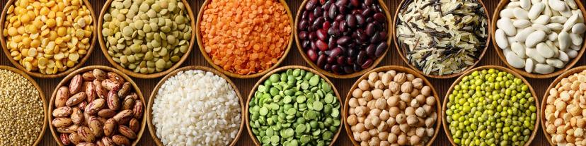 Webinar how alternative protein drives a more sustainable food system